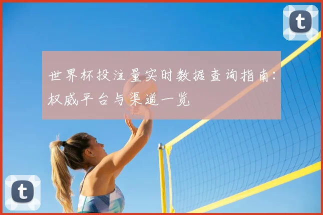 世界杯投注量实时数据查询指南：权威平台与渠道一览