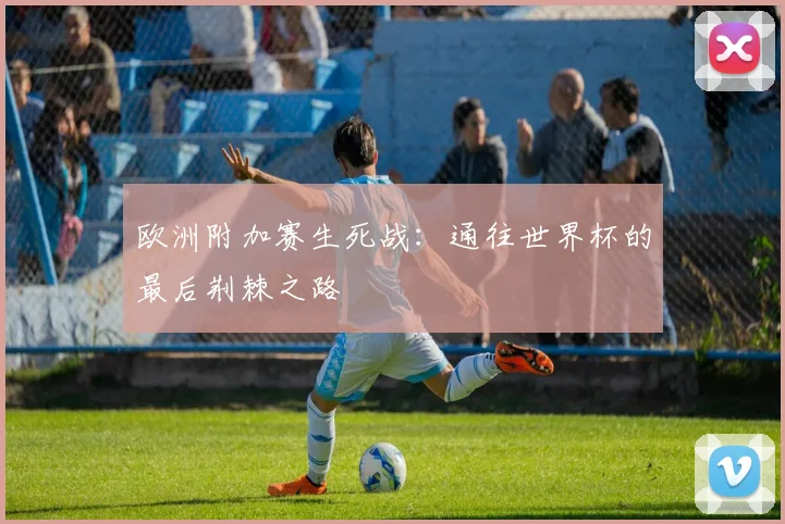 欧洲附加赛生死战：通往世界杯的最后荆棘之路