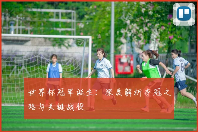 世界杯冠军诞生：深度解析夺冠之路与关键战役
