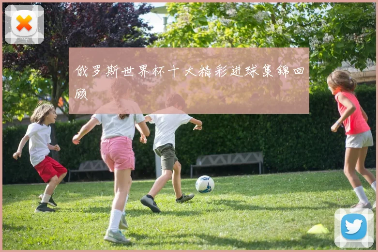 俄罗斯世界杯十大精彩进球集锦回顾